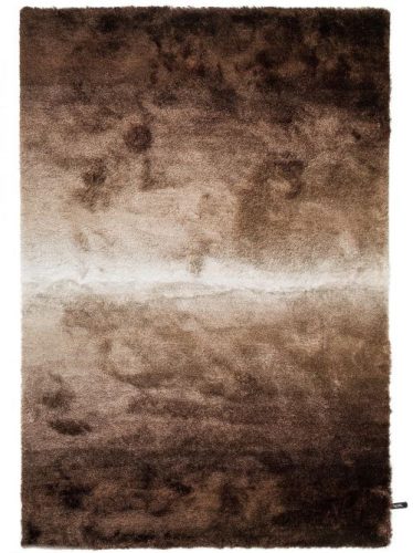 Shaggy szőnyeg Whisper Brown/Taupe 240x340 cm