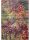 Rug Casa Multicolour 160x230 cm