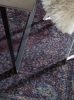 Nyomott mintás szőnyeg Siljan Purple/Turquoise 130x190 cm