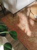 Flat Weave Rug Frencie Rose 15x15 cm Sample