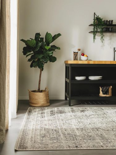 In- & Outdoor Rug Artis Charcoal 80x165 cm