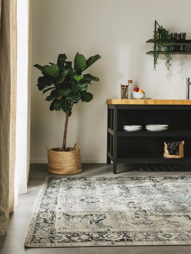In- & Outdoor Rug Artis Grey 80x165 cm