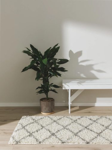 Shaggy rug Soho Cream 80x300 cm