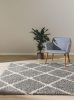 Shaggy szőnyeg Soho Grey 240x340 cm
