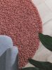 Bolyhos szőnyeg Soho Rose ¸ 120 cm kerek