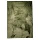 Fur Rug Dave Green 120x170 cm