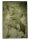 Fur Rug Dave Green 160x230 cm