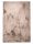 Fur Rug Dave Taupe 150x230 cm