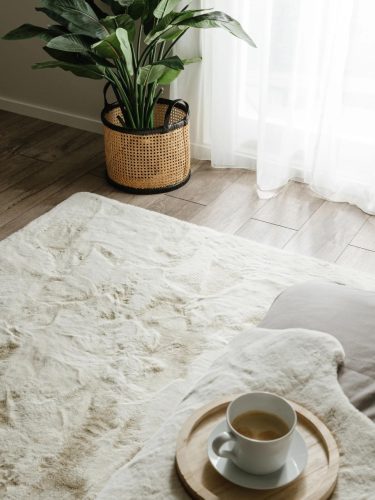Fur Rug Dave Cream 120x170 cm