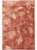 Shaggy szőnyeg Francis Rose 15x15 cm minta