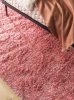 Shaggy szőnyeg Sophia Rose 120x170 cm