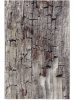 Kül- és beltéri szőnyeg Pintura Beige/Brown 120x180 cm