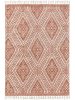 Rug Elias Terracotta 160x230 cm