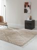 Rug Elias Beige 160x230 cm