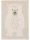 Gyerekszőnyeg Eve Cream/Beige 80x150 cm