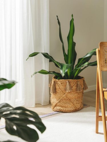 Basket Judi natural 35x35x35 cm