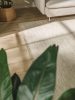 Silas Cream gyapjú szőnyeg 100x150 cm