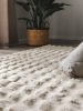Fur Rug Dave Beige 60x120 cm
