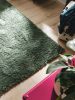 Shaggy rug Ricky Green 80x150 cm