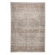 Rug Anwar Grau/Beige 350x450 cm