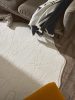 Washable Rug Pam Cream 160x200 cm