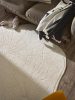 Washable Rug Pam Cream 15x15 cm Sample