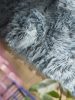 Washable Shaggy Rug Nanuk Blue 80x240 cm