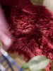 Washable Shaggy Rug Nanuk Bordeaux 60x180 cm