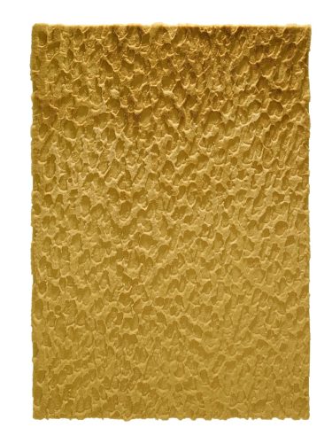 Immy Yellow 200x300 cm